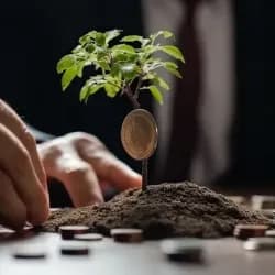 ¿Listo para invertir? Tu guía para navegar el mercado mexicano