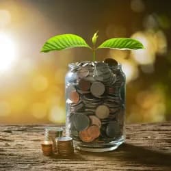 ¿Curioso sobre la BMV? Pasos esenciales para empezar